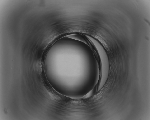 X0000091720160200708311146