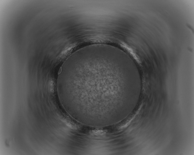 X0000091720161200708311146