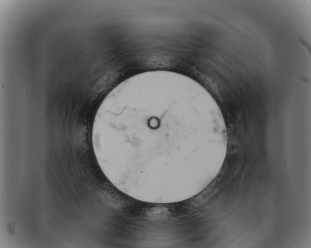 X0000091720162200708311146