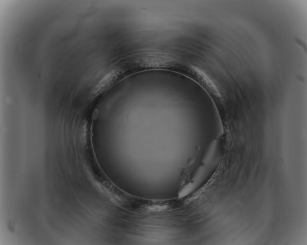 X0000091720163200708311146