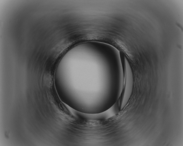 X0000091720164200708311146