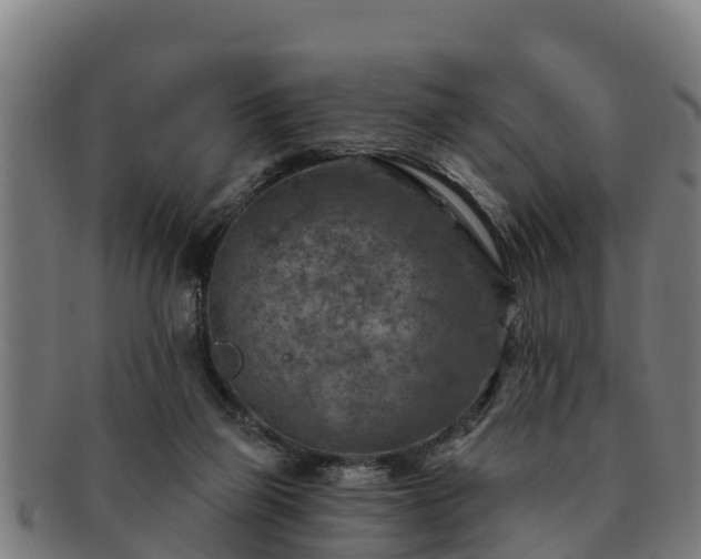 X0000091720165200708311146