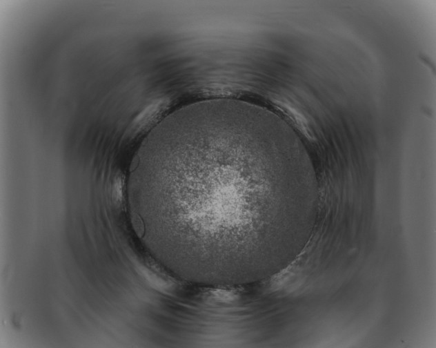 X0000091720166200708311147