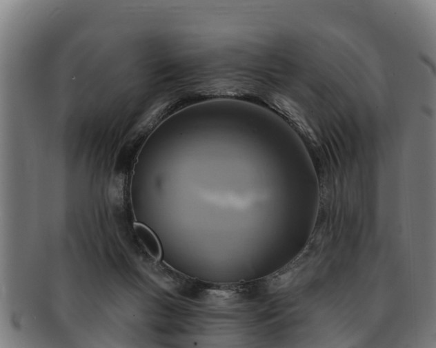 X0000091720167200708311147