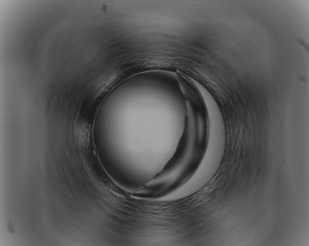 X0000091720168200708311147