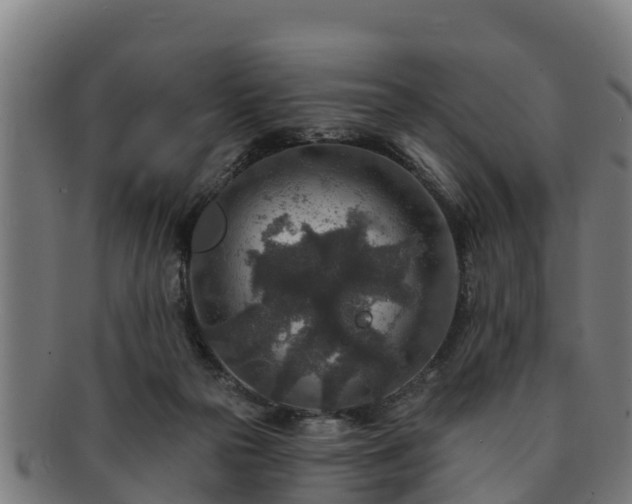 X0000091720169200708311147