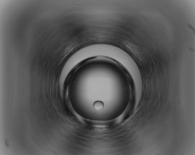 X0000091720172200708311147