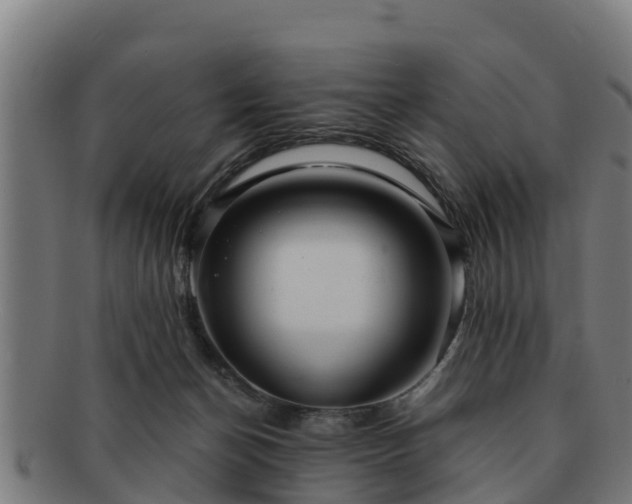 X0000091720174200708311147