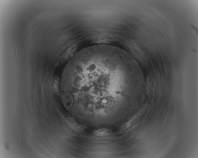 X0000091720175200708311147