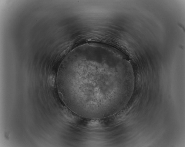 X0000091720177200708311147