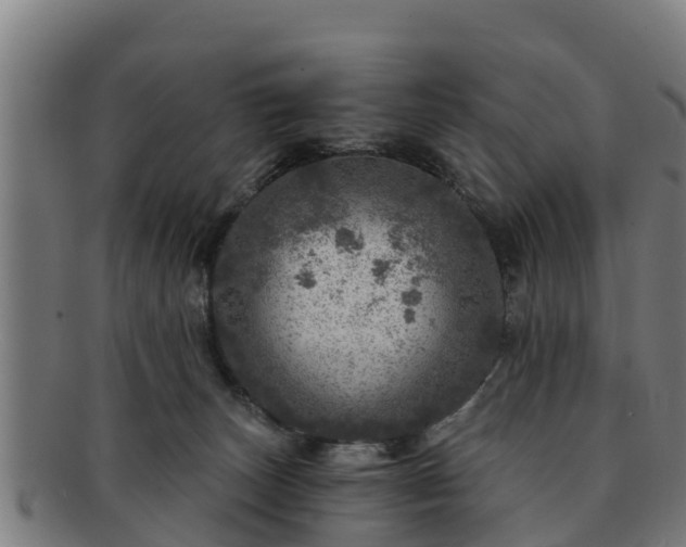 X0000091720179200708311147