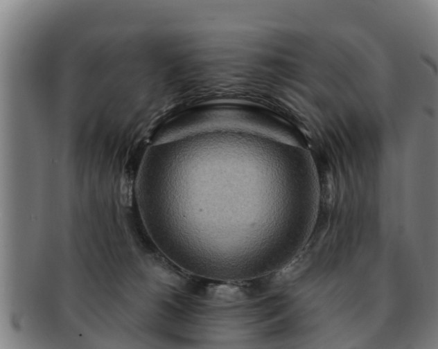 X0000091720180200708311147