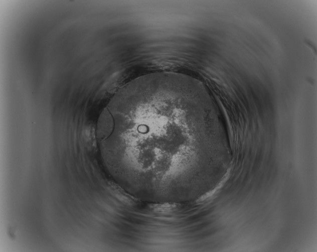 X0000091720182200708311147