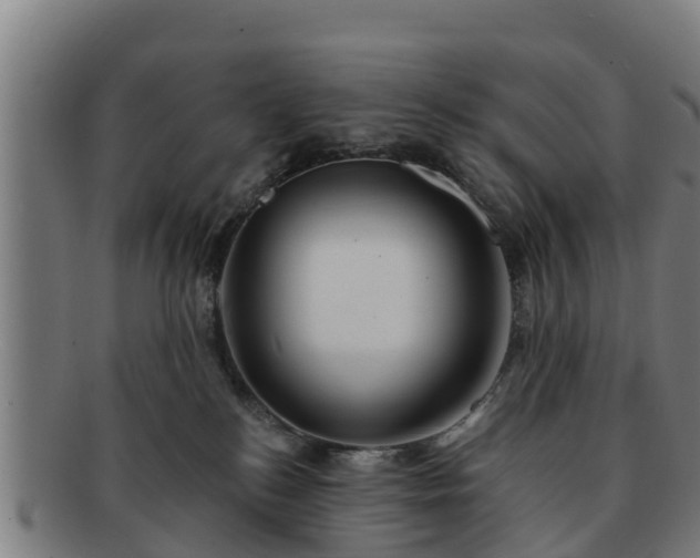 X0000091720184200708311147