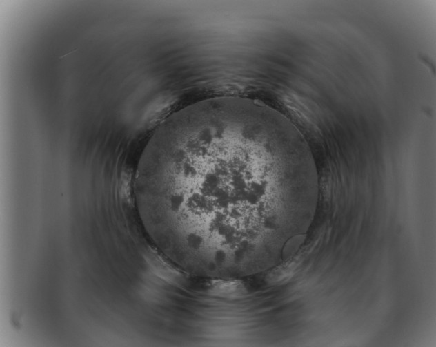 X0000091720185200708311147