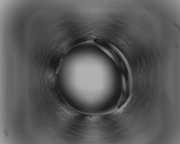 X0000091720186200708311147