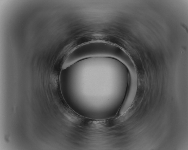 X0000091720188200708311147