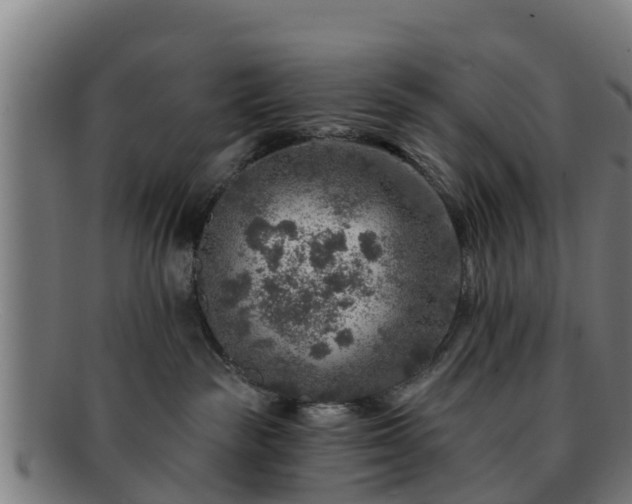 X0000091720189200708311147