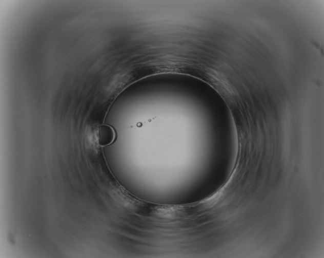 X0000091720190200708311147