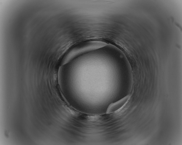 X0000091720192200708311147