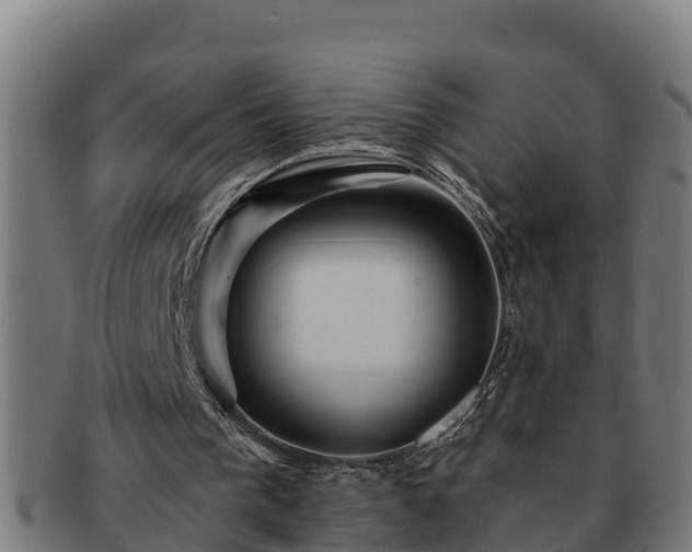 X0000091720193200708311146