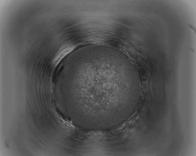 X0000091720194200708311146