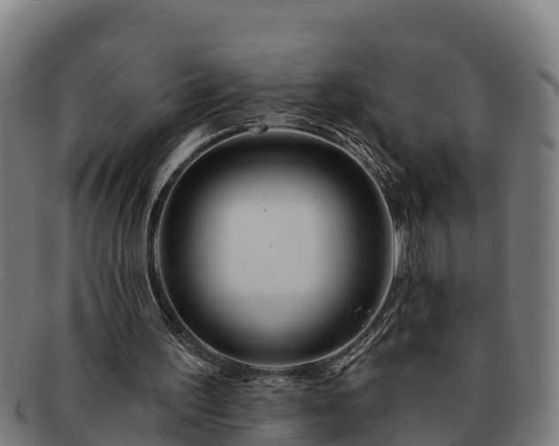 X0000091720195200708311146