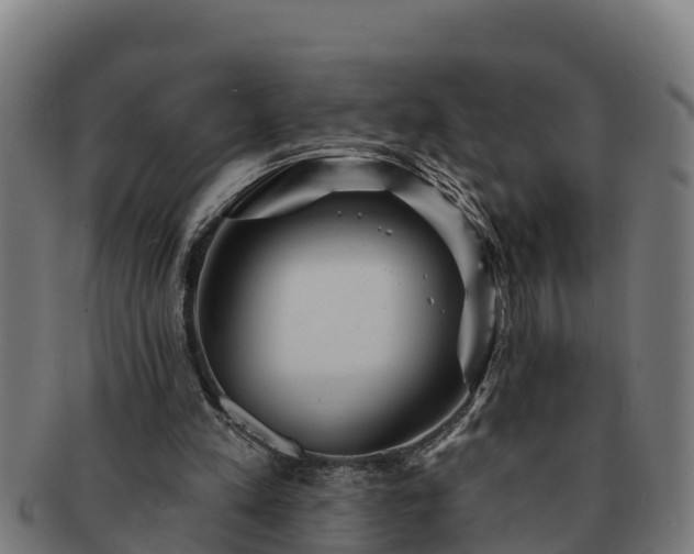 X0000091720197200708311146