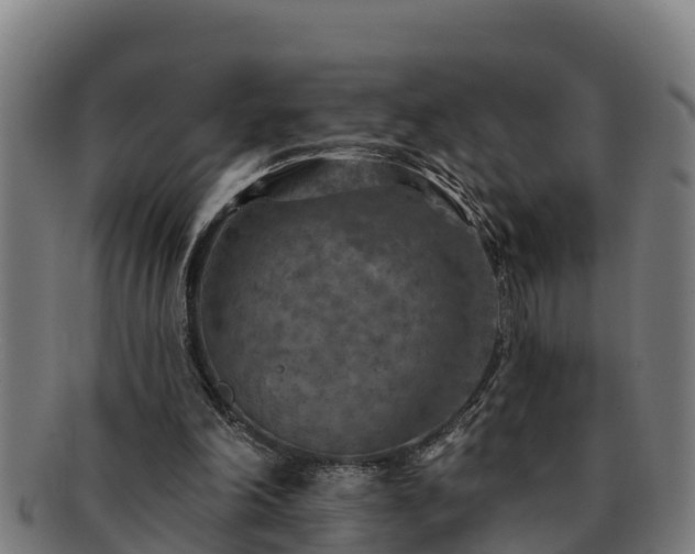 X0000091720198200708311146