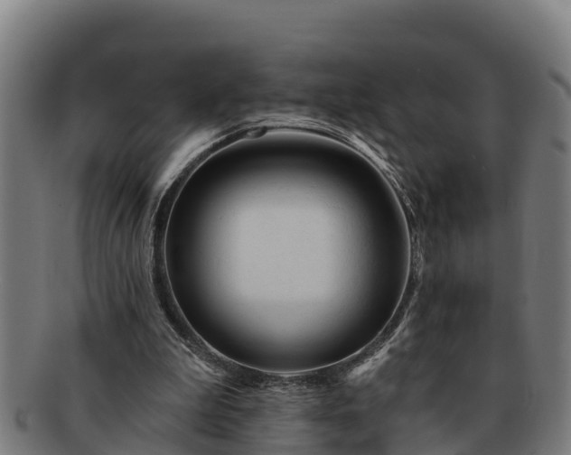 X0000091720199200708311146