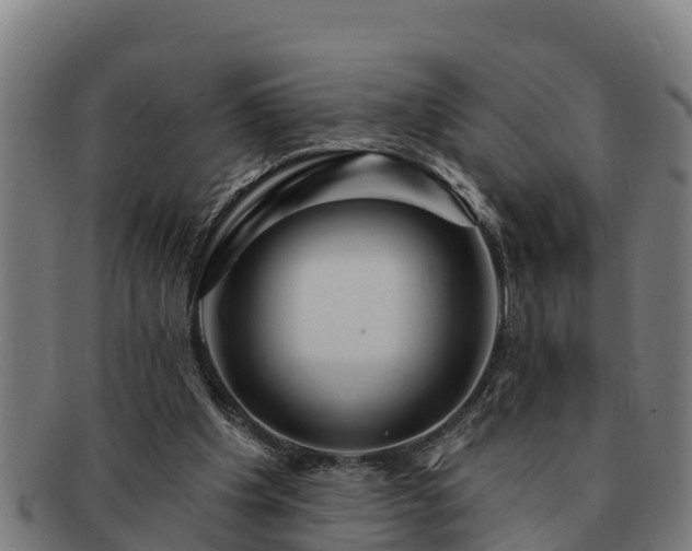 X0000091720201200708311146