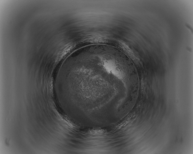 X0000091720202200708311146