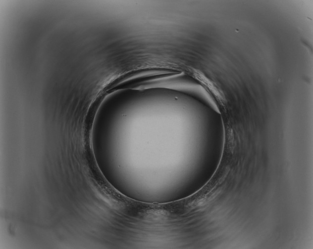 X0000091720203200708311146