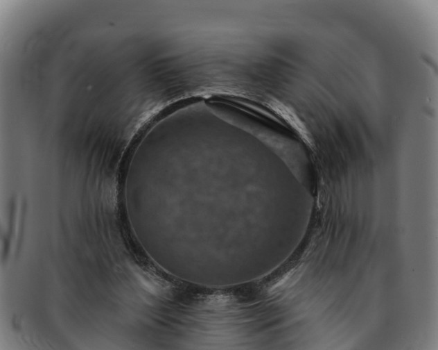 X0000091720204200708311146