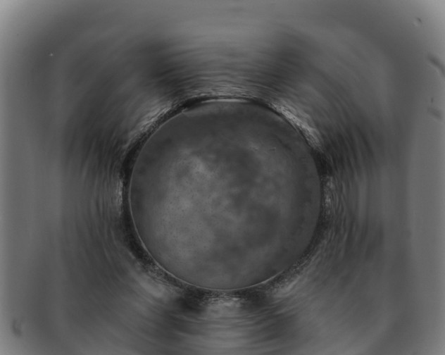 X0000091720206200708311146