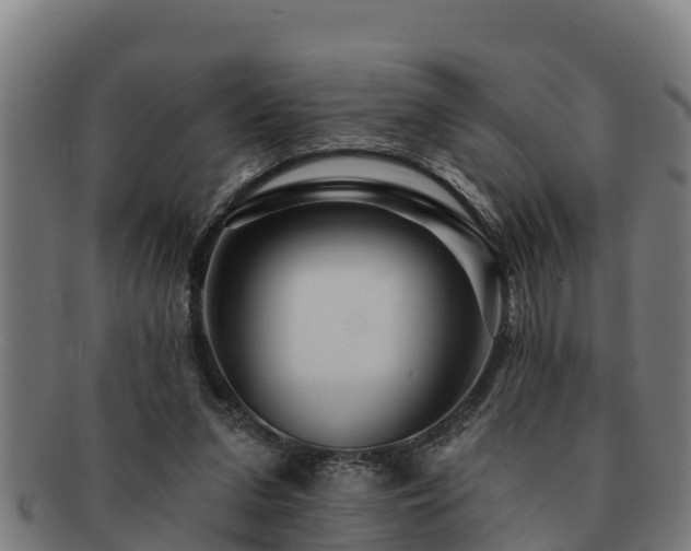 X0000091720207200708311146