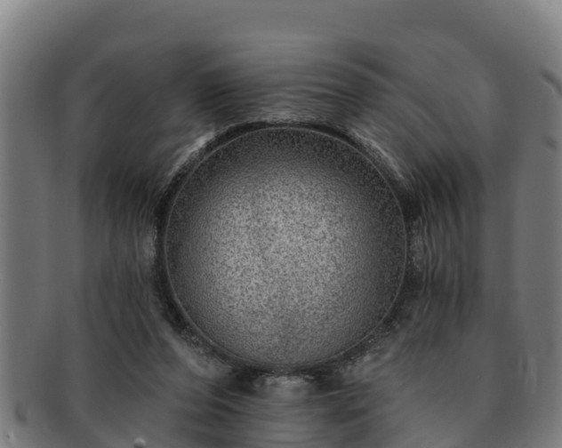 X0000091720208200708311146