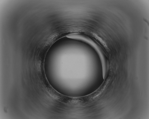 X0000091720209200708311146