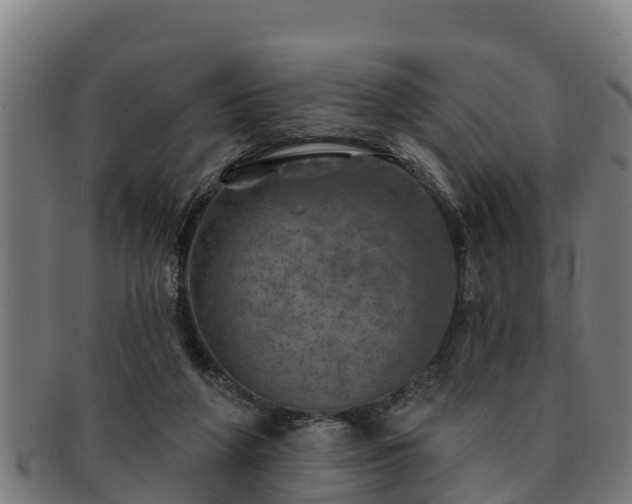 X0000091720210200708311146