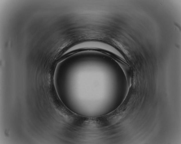 X0000091720211200708311146