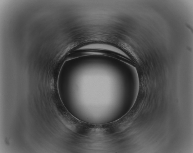 X0000091720212200708311146