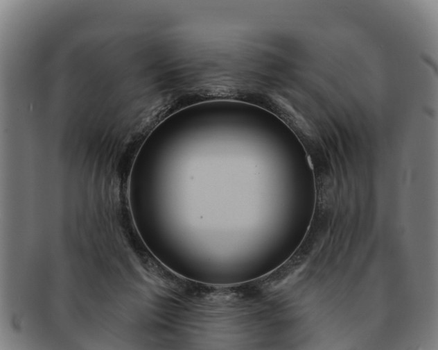 X0000091720213200708311146