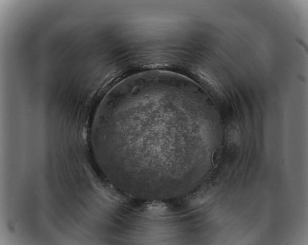 X0000091720214200708311146