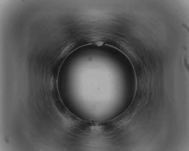 X0000091720216200708311146