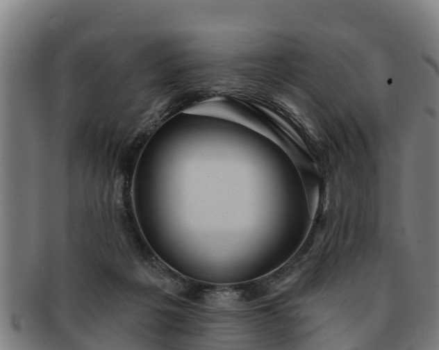 X0000091720217200708311146