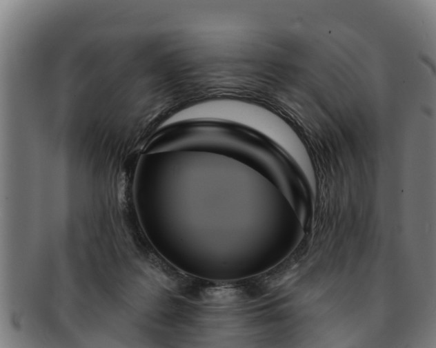 X0000091720219200708311146