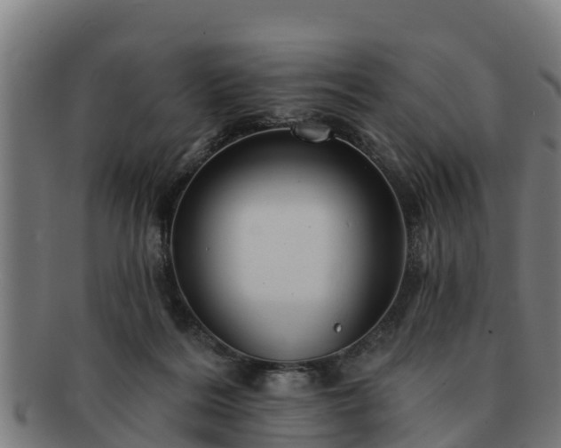 X0000091720220200708311146