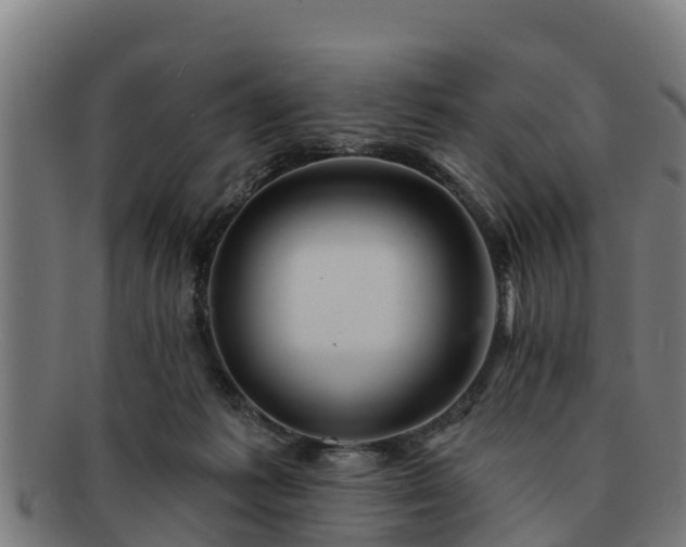 X0000091720221200708311146