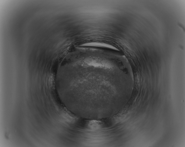 X0000091720222200708311146