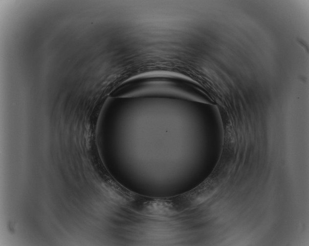 X0000091720223200708311146